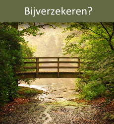 Natuur bij Elim