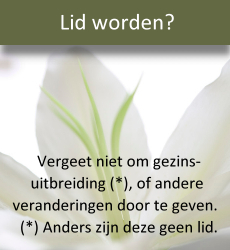 lidwordenmettekst